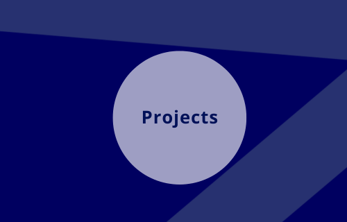 LDE Global: Projects